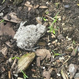 Meet your Posher, Tabitha